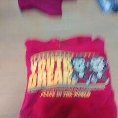 トレーナーの画像