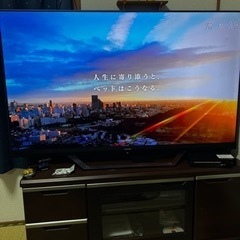 テレビ55型