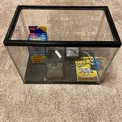 お譲り先決まりました。GEX30㎝水槽　差し上げます。