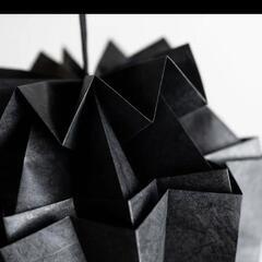 Elephat / ACME-6 GZ Light cover ゴールゼロの画像