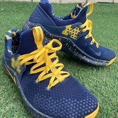 NIKE ミシガン州限定