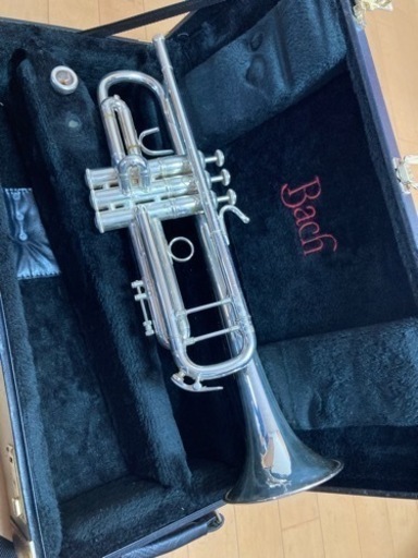 バックB♭管トランペット TRP 180ML37 SP