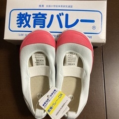 教育バレーDX 17.0cm ピンクの画像