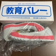 教育バレーDX 17.0cm ピンクの画像