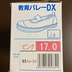 教育バレーDX 17.0cm ピンクの画像