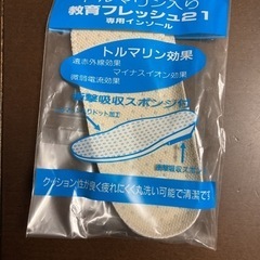 教育バレーDX インソール 17.0cm