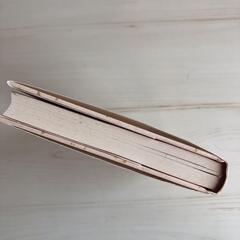 女検事ほど面白い仕事はないの画像
