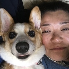 音楽🎶という潤いを是非生活に加えてみませんか❓🎹の画像