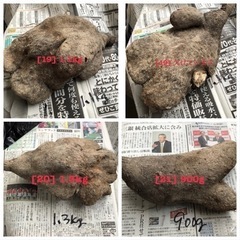 ウベ（紫山芋）　②の画像