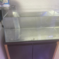 特殊60cm水槽とキャビネット