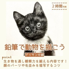 【2月開催】鉛筆デッサン/大塚駅徒歩6分/小学生〜大人の生徒さん募集の画像