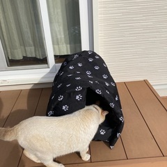 ペット用小屋