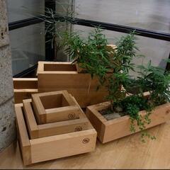 DIY ハンドメイド 木製 プランター 鉢 YARD風 多肉植物 サボテン アガベ URBAN RESEARCH アーバンリサーチの画像