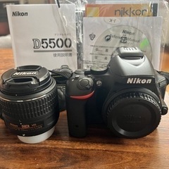 Nikon D5500 AF-S NIKKOR 18-55mm f/3.5-5.6G