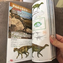 恐竜図鑑の画像