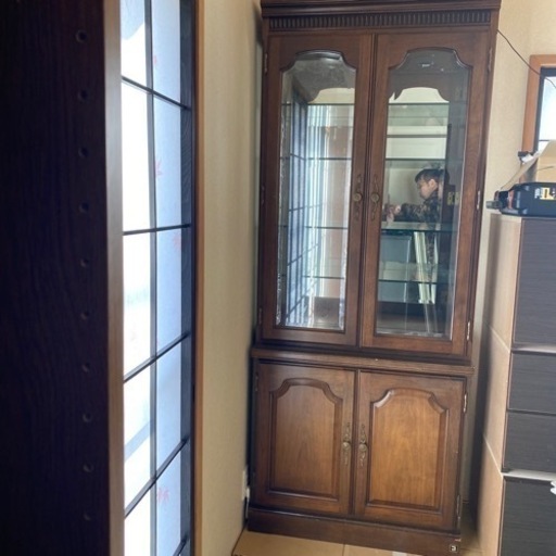 コスガ コレクションケース