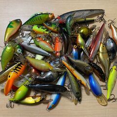 ブラックバスの中古が安い！激安で譲ります・無料であげます(14