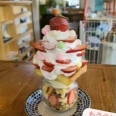 ランチやカフェに行きませんか❓