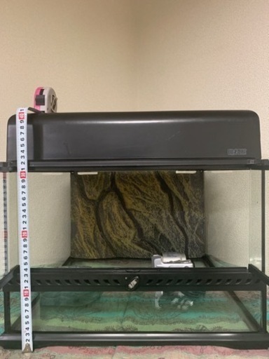 【直接引渡】GEX グラステラリウム 4530