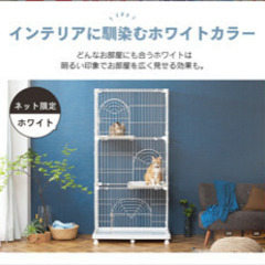 キャットゲージ3段　お話中の画像