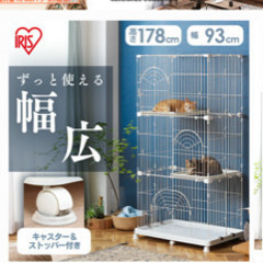 キャットゲージ3段　お話中の画像