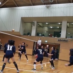 練馬区　光が丘クラブ　ママさんバレー　９人制　メンバー募集