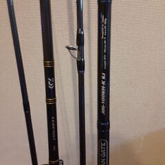 早い方優先！フルセット☆ショアジギング☆シーバスロッド☆釣竿・ロッド・リール・メタルジグ・ルアー付き　Daiwa☆ジャクソンの画像