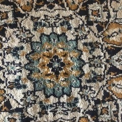 ペルシャジュータンの画像