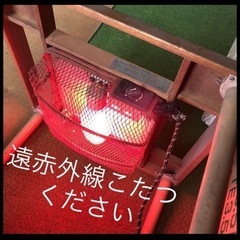 遠赤外線こたつ(¥300)