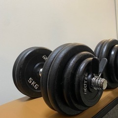 【先着一名様！】IROTEC正規品　30kg✖︎２　値下げ交渉受け付けます。の画像