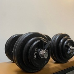 【先着一名様！】IROTEC正規品　30kg✖︎２　値下げ交渉受...