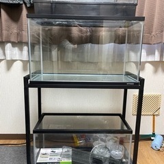 60cm水槽、60cmスリム水槽、水槽台、フィルターなど