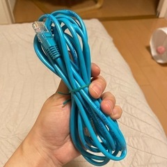 取引先決定　LANケーブル　2点の画像