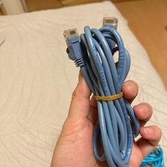 取引先決定　LANケーブル　2点の画像