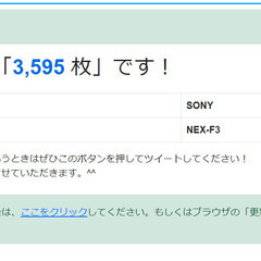 Sony NEX-F3 美品 ショット数少の画像