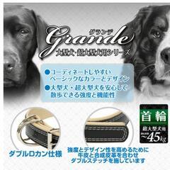 超大型 犬用 首輪(新品)の画像