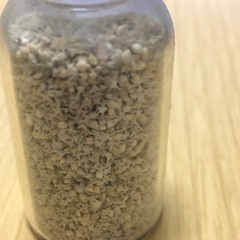 値下げ★ 竹富島の星の砂 ★の画像