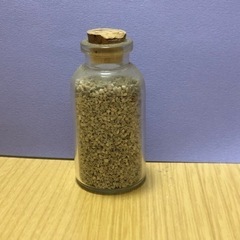 値下げ★ 竹富島の星の砂 ★の画像