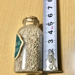 値下げ★ 竹富島の星の砂 ★の画像