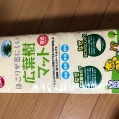 3ヶ月の子うさぎネザーランドドワーフ里親様決まりました - その他