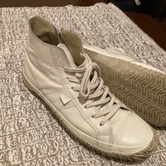 スピングルムーヴＬサイズの画像