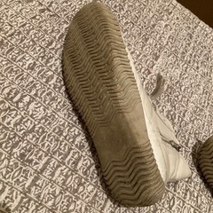 スピングルムーヴＬサイズの画像