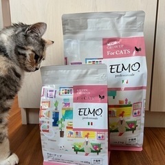 ♡子猫用(1歳未満)♡ペットフード