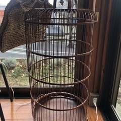 鳥籠⁉️