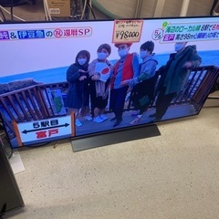 東芝有機EL55型TV2019年製