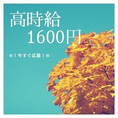 《急募！短期！フォークリフト作業員》高時給1600円スタート♪お...