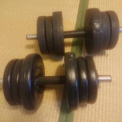 ダンベル10kg 2個セット