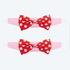 【完売品入手不可超激レア】トータリーミニーカーテンの画像