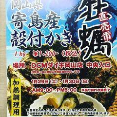 牡蠣売ります！