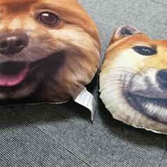犬のクッション2setの画像